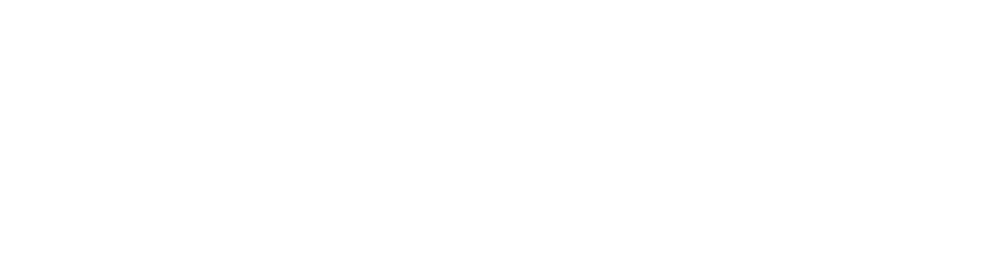 Lighty AI logo