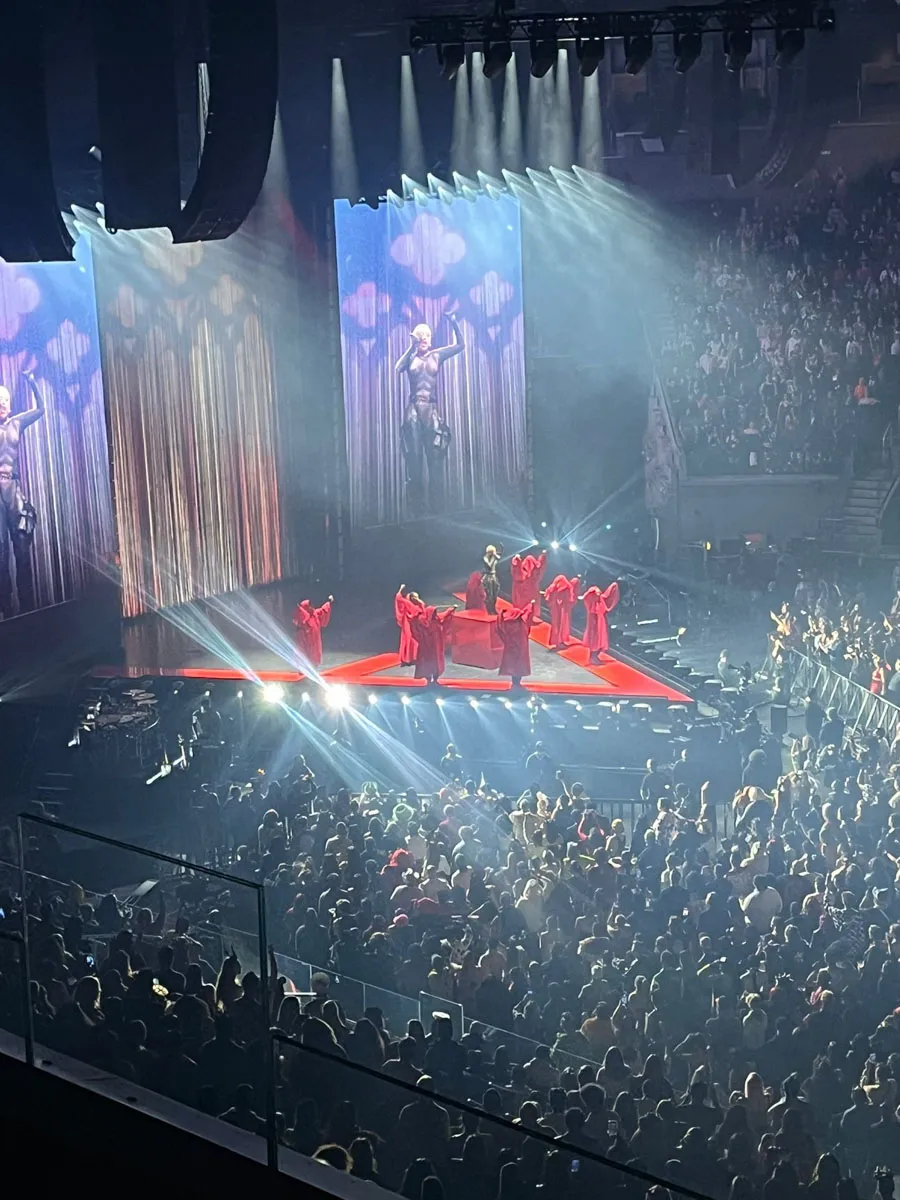 Photograph of a Doja Cat concert